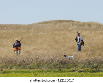 Bird Hunting