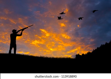 Bird Hunting Silhouette