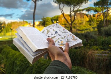 Bird Identification Field Guide In Hand Walking In Nature