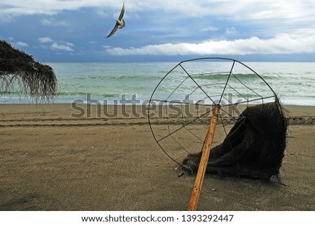 Child and dog by the sea