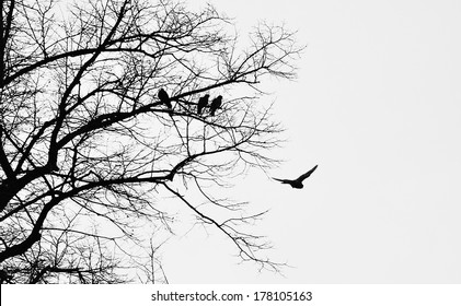 birds flying clipart black and white tree