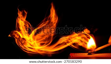 Bird made of fire comes from a burning matchstick