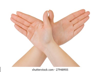 Bird Made Of Hands Isolated On White Background