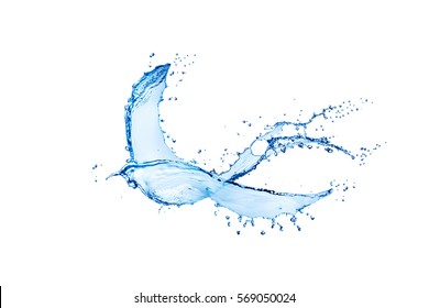 44,940 Birds water splash Images, Stock Photos & Vectors | Shutterstock