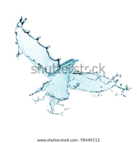 Bird made of water splashes isolated on white
