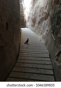 Bird In A Mine Shaft / Quarry - Canary In A Coal Mine