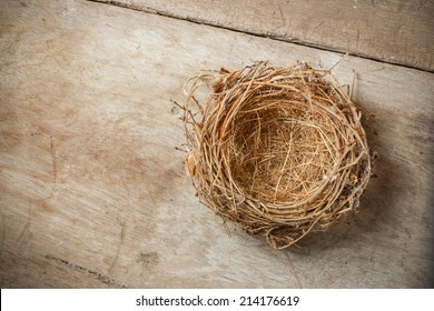 Empty Nest Bilder Stockfotos Und Vektorgrafiken Shutterstock