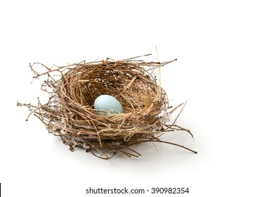 Bird Nest With Egg Isolated On White