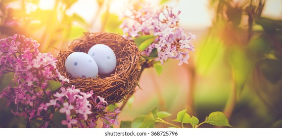 Bird nest in a flowering tree with easter eggs for Easter
