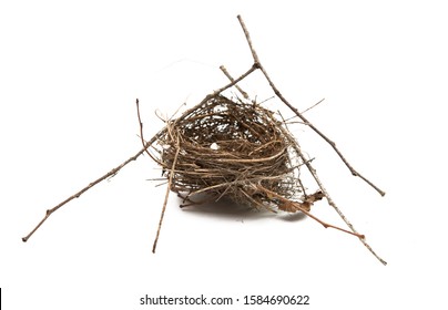 Bird Nest Isolated On White Background