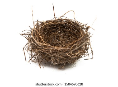 Bird Nest Isolated On White Background