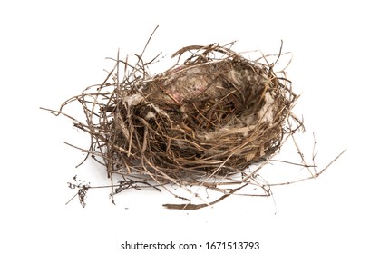 Empty Bird Nest Bilder Stockfotos Und Vektorgrafiken Shutterstock