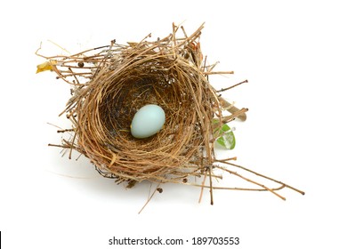 Bird Nest Isolated On White