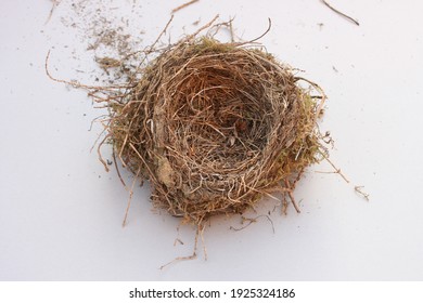 Bird Nest Isolated On White Background