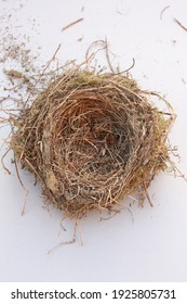 bird nest isolated on white background