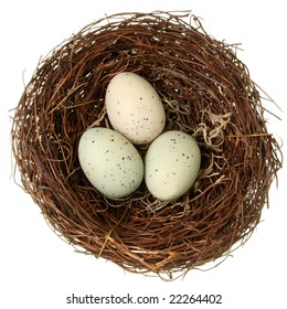 Bird Nest Isolated On White.