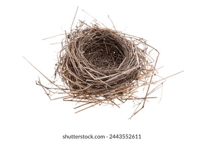 bird nest isolated on white background - Powered by Shutterstock