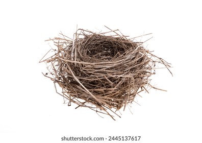 bird nest isolated on white background