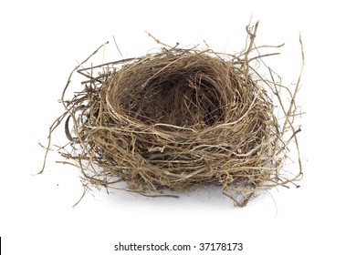 Bird Nest, Isolated On White