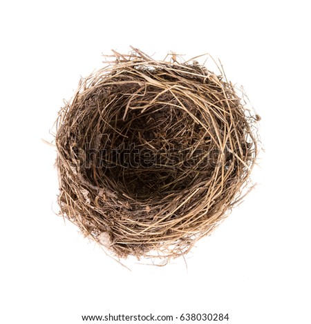 Bird nest isolated on white, top view.  Empty nest of common blackbird 