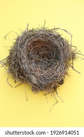 bird nest isolated on yellow
background
