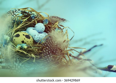 Bird nest in a tree with easter eggs for Easter.