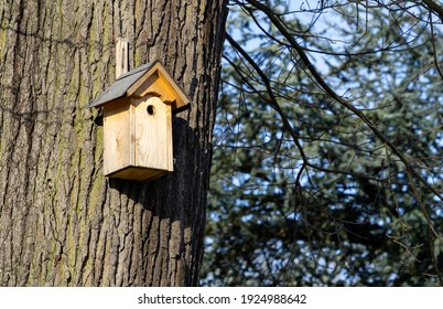 Bird Nesting Aid Made Of Wood On A Tree, Nest Box