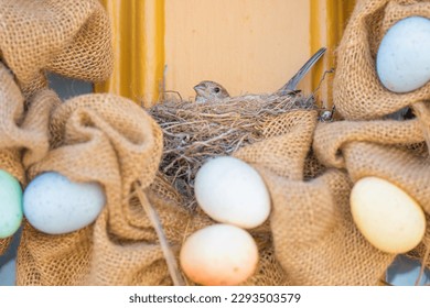 Bird nesting in an easter wreath of a door. Easter or spring concept. - Powered by Shutterstock