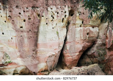 bird nests on cliffs, sandstone