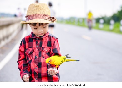 A Bird On Children Hand In The Park.