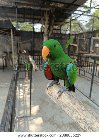 bird park 🏞️ G2G at Serdang,Malaysia