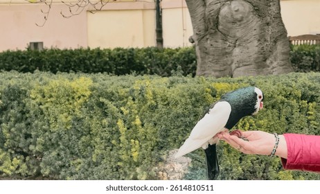 Bird perched gently on an outstretched human hand, symbolizing trust and connection.