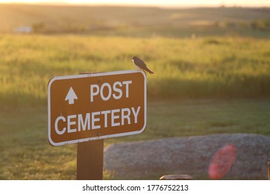 A Bird Perched At The Infantry Post, Fort Abraham Lincoln State Park, Mandan, North Dakota.