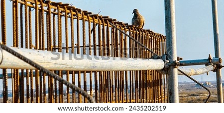 A bird is perched on a metal fence. The fence is made of metal and has a lot of wires. The bird is looking up at the sky