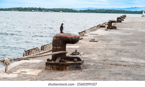 A bird is perched on a rusty metal pipe. The pipe is attached to a chain and is located on a pier. The scene is calm and peaceful, with the bird being the only living creature visible - Powered by Shutterstock