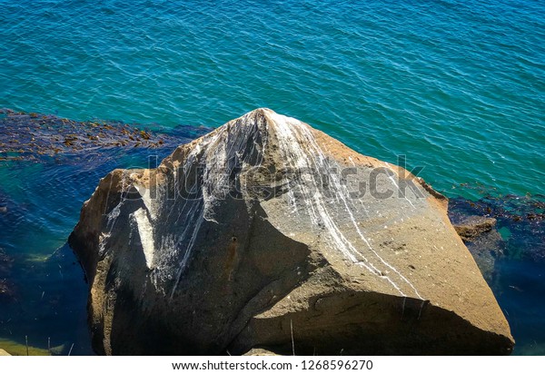 Bird Poop Rock Standing Tall Against Stock Photo Edit Now