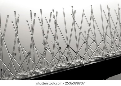 Bird Protection Installed On The Balcony Railing. Balcony Bird Protection With Cut Plastic Spikes, Safe For Animals. Close-up.  - Powered by Shutterstock