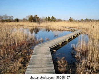 Bird Sanctuary, Cape May, NJ