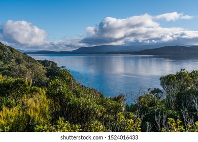 Bird Sanctuary on Ulva Island next to Stewart Island New Zealand with stunning vegetation beaches and lush green plants. Concept: conservation effort
