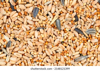 Bird seed abstract background texture