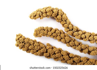 Bird Seed, Millet Stick Isolated On White Background