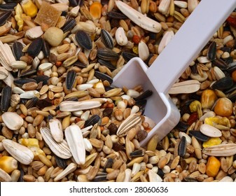 Bird Seed With Spoon