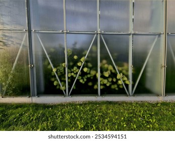 bird, sefety, soundproof wall of blue glass on a highway bridge embedded in metal beams, on the street. road traffic noise is reduced. safety protection with steel cables against falling on people - Powered by Shutterstock