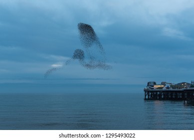 Bird Shape Starling Murmuration Over The Sea At Brighton Pier, UK