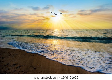 A Bird Silhouette is Flying Towards the Light As Sun Rays Emanate From the Ocean Sunset Sky - Powered by Shutterstock