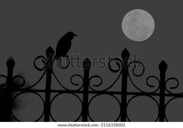Bird silhouette on fence with full moon in the\
dark night.