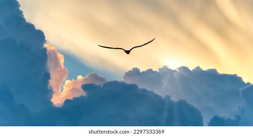 A Bird Silhouette Is Soaring Above The Colorful Clouds At Sunset Banner - Shutterstock ID 2297333369