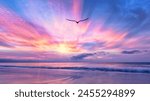 A Bird Is Soaring Above The Colorful Clouds At Sunset With Sun Ray Inspiration