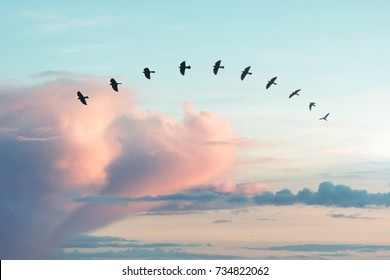 Bird Soaring Through The Air