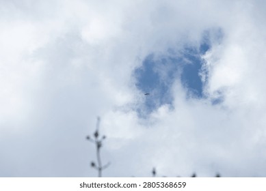 Bird Soaring Through a Break in the Clouds Against Blue Sky
A lone bird gliding through an opening in dramatic white clouds, revealing a patch of blue sky above. The minimalist composition conveys freedom, hope, nature, and peaceful flight, making it suitable for themes of weather, wildlife, travel, and inspiration.